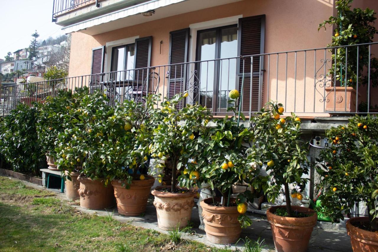 Panoramic Orselina Apartment Exterior foto